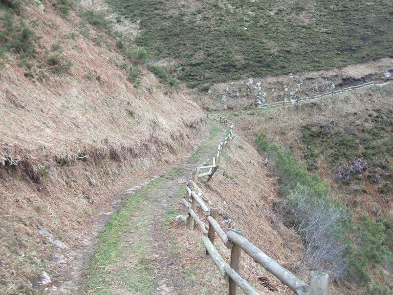 Anotación de mediciones de campo