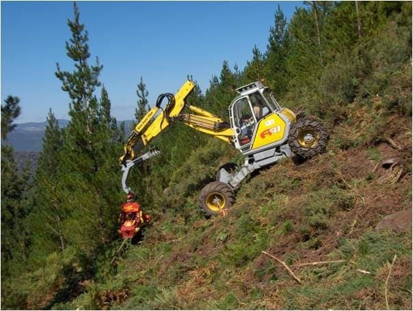 Procesadora forestal trabajando en ladera