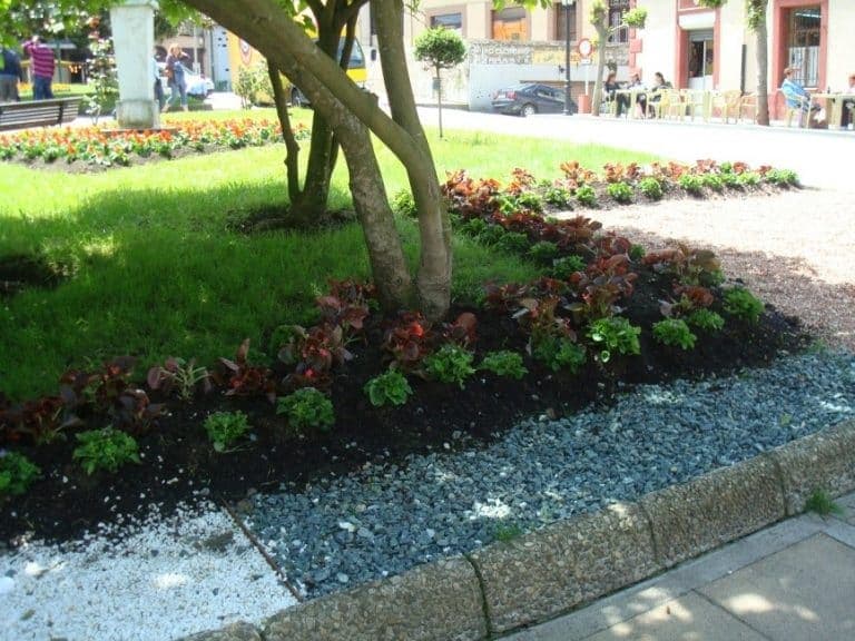 Trabajo de ejecución de obras de Asturias Forestal