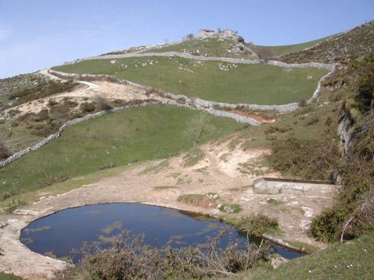 Trabajo de ejecución de obras de Asturias Forestal