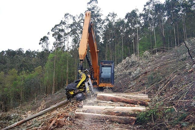 Trabajo de ejecución de obras de Asturias Forestal