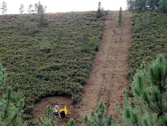 Trabajo de ejecución de obras de Asturias Forestal